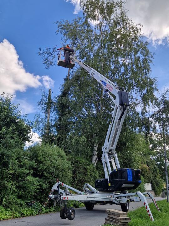 Sektionsfällning med skylift